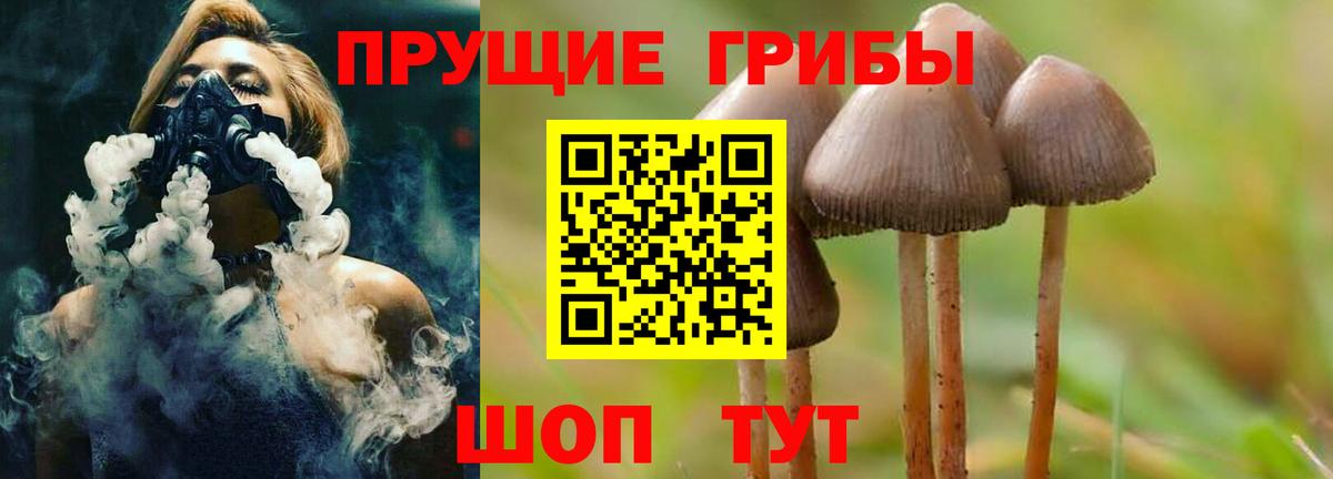Галлюциногенные грибы MAGIC MUSHROOMS  Вход с VPN  Нальчик  Галлюциногенные грибы GOLDEN TEACHER 